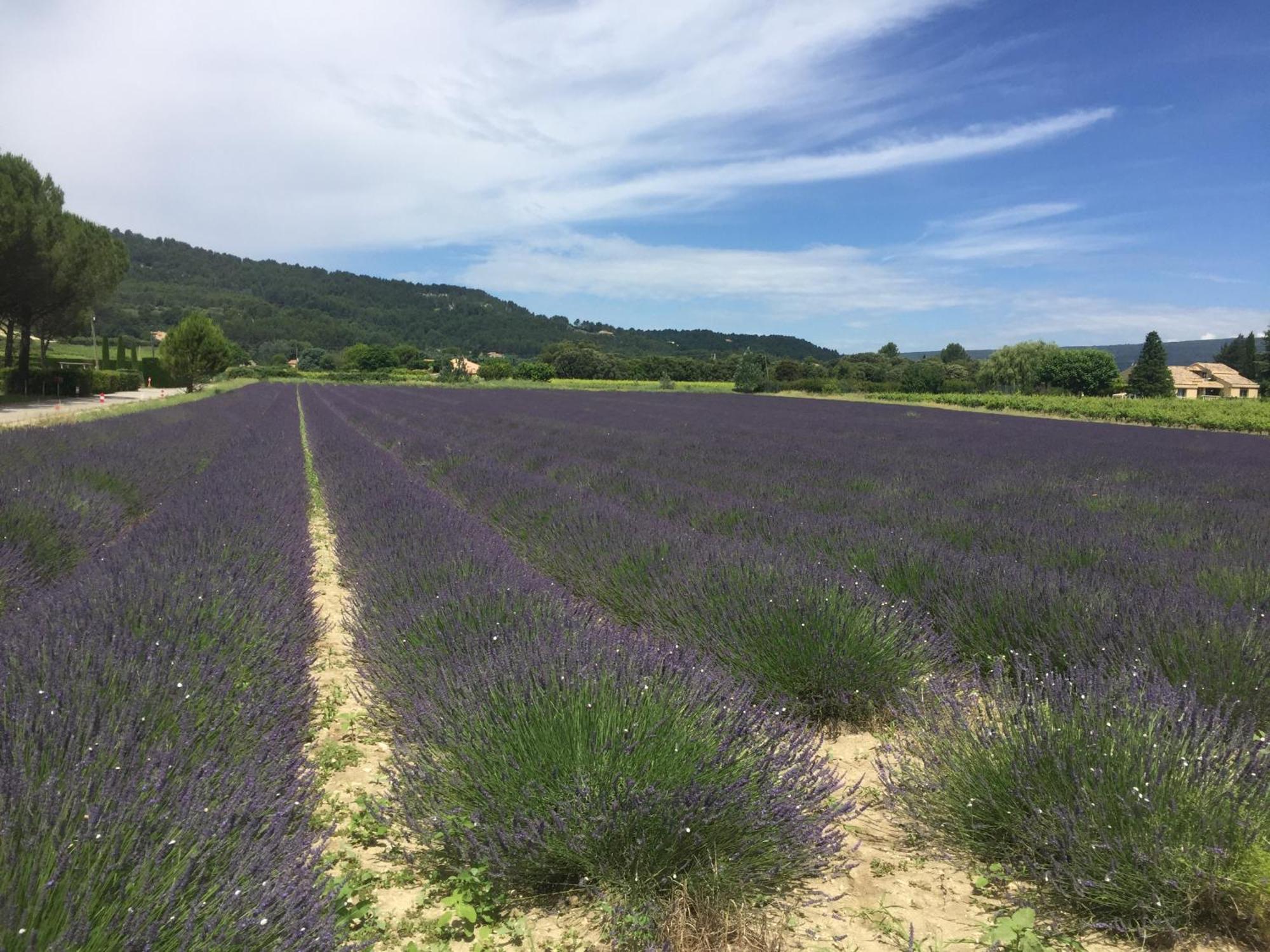 Lagalerie84 * Saint-Saturnin-les-Apt